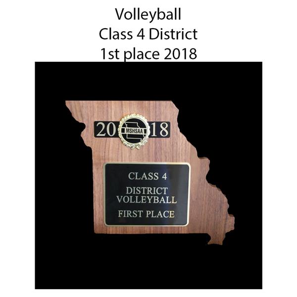 2018 volleyball district 4 first place 